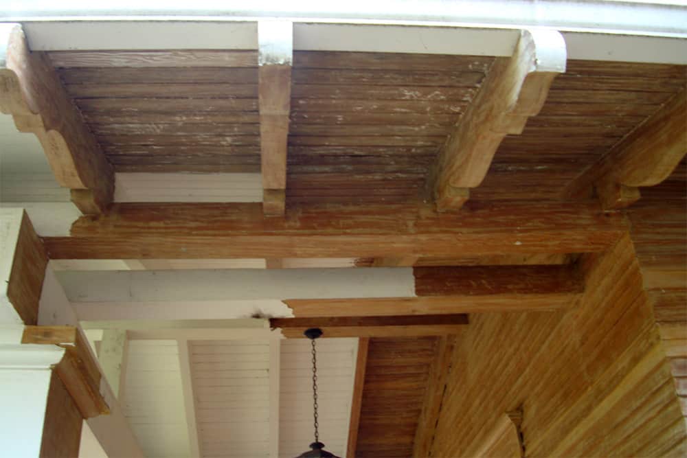 Paint Removal Services